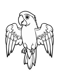Parrot Bird Illustration