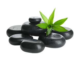 Stack of smooth, dark grey stones with vibrant green plant stems on a black backdrop