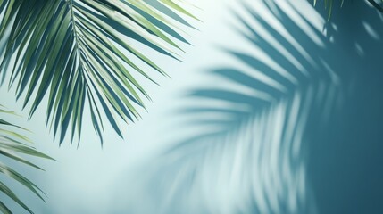 Fototapeta premium soft blurred palm leaf shadows cast on pastel blue wall minimal clean background with tropical light ambiance modern setting for summer product showcase