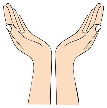 Two open cupped hands raised up illustration for concepts of care and support
