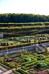 Jardins du Ch&acirc;teau de Villandry (Indre-et-Loire)