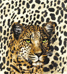 Tiger Face Portrait on Background-Wild Animal Art Design	
