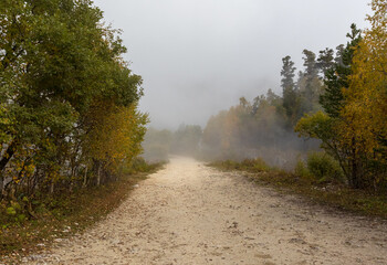 Autumn period of the year, morning fog on a dirt road leading into a wooded mountain range