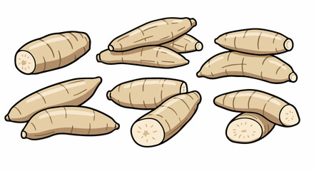 Taro root isolated with transparent background