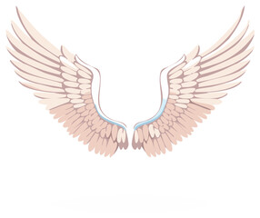 Naklejka premium Elegant angelic wings spread open in soft pastel colors vector illustration.
