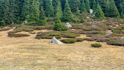 rice fields in the mountains