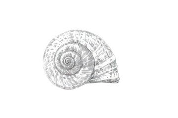 Abstract White Spiral Formation Against Black Background