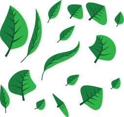 Scattered vibrant green leaves with detailed veins on a clean white background