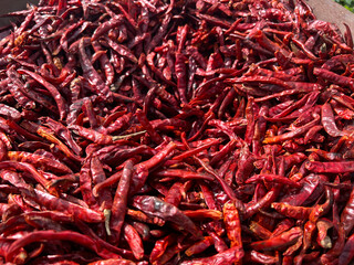red chili peppers in a wooden box