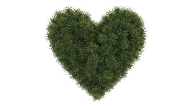 Green heart shape made of pine needles isolated on transparent background