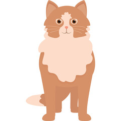 Orange and White Fluffy Cat Sitting Forward Facing with Big Amber Eyes and Pink Nose Against a Transparent Background