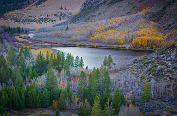 Fall Colors in North Lake, California