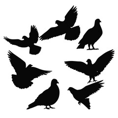 Silhouetted doves in flight against a black backdrop evoking peace and freedom in a minimalist design perfect for symbolic projects and artistic compositions