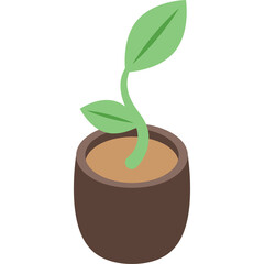 A Simple Green Sprout Grows in a Brown Pot on a White Background