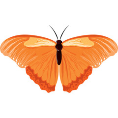 Orange butterfly with intricate wing patterns isolated on a transparent background