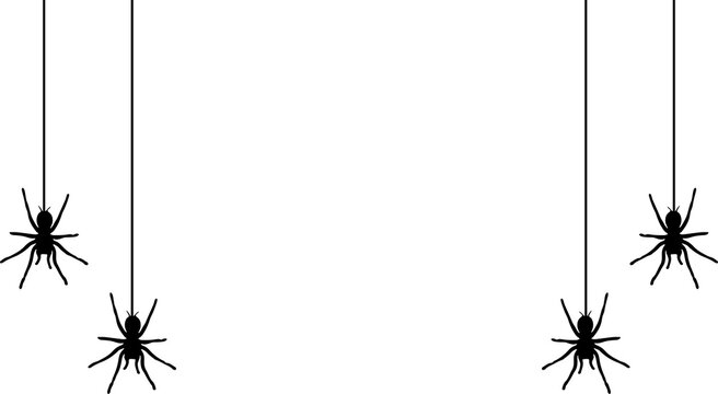 Spider Web Spiderweb varieties set. Black mesh patterns with halloween party ornament. Sticky trap of intertwining dangerous vector lines Black spider hanging from a web on a white background