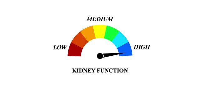 Animated kidney function meter decreasing from normal to low level, ideal for concepts related to poor kidney function, chronic kidney disease and dialysis.4k video