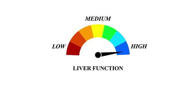 Animated liver function meter decreasing from normal to low level, ideal for concepts related to poor liver function, liver disease and health monitoring. 4k animation video