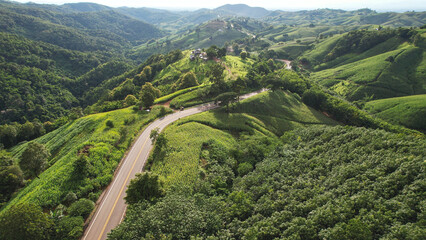 Aerial view of the greenery hills and mountain road by drone