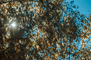 close up of a blue background
