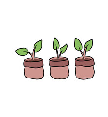 Three Potted Seedlings Illustration
