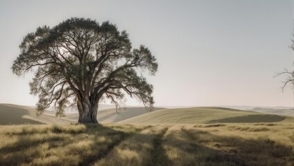 Solitary Tree Stands Proudly in Rolling Hills Landscape.