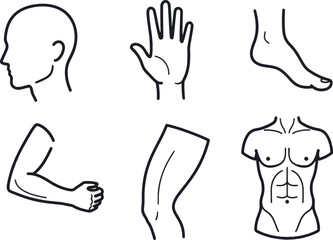 Obraz premium Vector line art collection depicting various human body parts head, hand, foot, arm, leg, and torso, suitable for health and medical graphics
