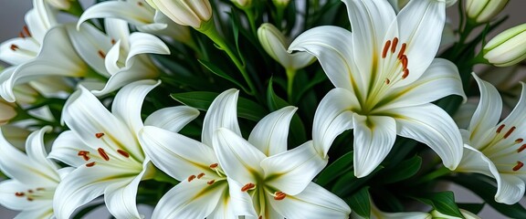Obraz premium Elegant white lilies arranged in a lush bouquet, white, petal