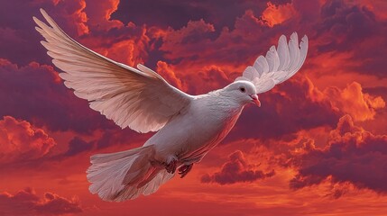 White Dove in Flight Against a Dramatic Sunset Sky Background
