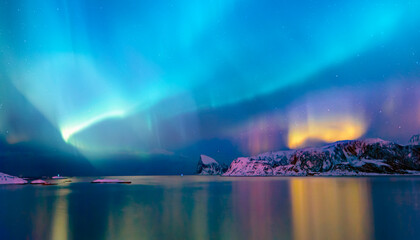 Northern lights or Aurora borealis in the sky - Tromso, Norway © muratart
