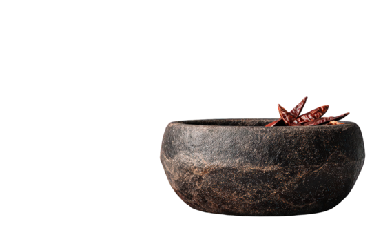 Glittering Decorative Bowl With Red Floral Accent Against Black Background