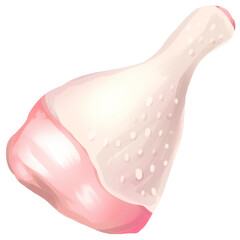 Raw Chicken Drumstick