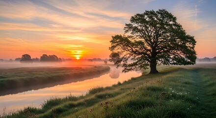 Obraz premium Sunrise Serenity - A Lone Tree Silhouetted Against a Misty River.