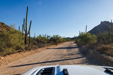 Fototapete Wohnzimmer The iconic Bajada Loop Drive in Arizona's Saguaro National Park.  © Cavan