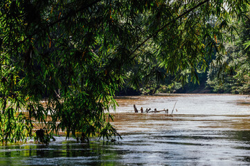 Pe&ntilde;a Blanca River Framed by Vegetation, La Fortuna, Costa Rica