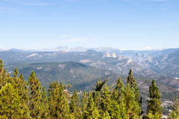 Vast alpine mountain range with dense pine forest and blue sky