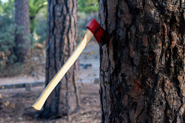 Red axe embedded in tree trunk in a rustic outdoor forest setting © Cavan