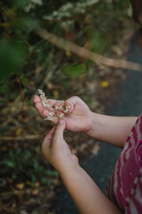 Little girl's hands holding wild flowers, exploring nature