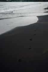 Footprints on the Black Sand of Playa Negra, Puerto Viejo, Costa Rica