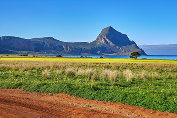 Colorful panorama from the flowers of San Vito Lo Capo , Sicily, Italy