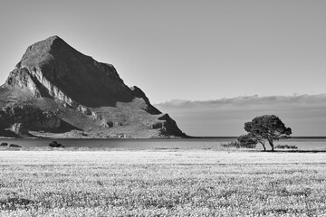 Black and white panorama of San Vito Lo Capo , Sicily, Italy