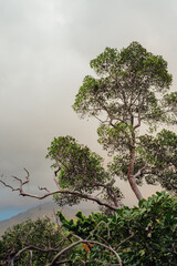 Mountain View from Wang Sai Waterfall Trail, Koh Phangan, Thailand