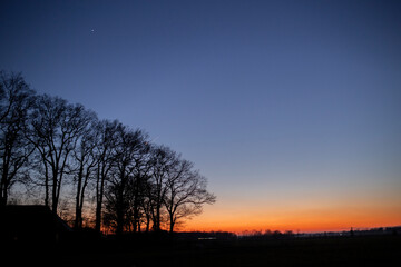 Silhouette trees against a colorful sunset sky