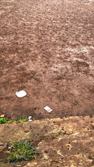 Bare Earth Ground Surface with Small Debris and Vegetation in Outdoor Setting