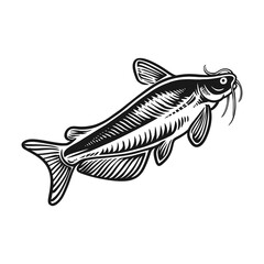 Catfish silhouette engraving vector hand drawn
