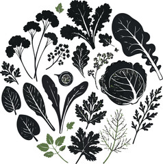 Diverse Collection of Black and Green Leafy Vegetables and Herbs