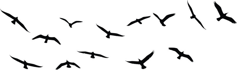 Bird silhouettes in flight, dynamic avian motion illustration, flock migration design for nature, wildlife, sky art, and educational use