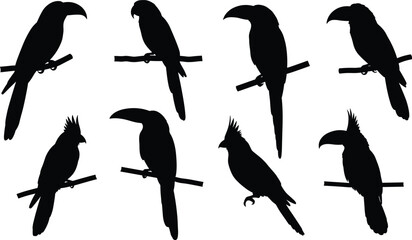 Bird silhouettes on branches, parrots, toucans, crested species, black and white, perched poses, avian illustration, wildlife art, nature design