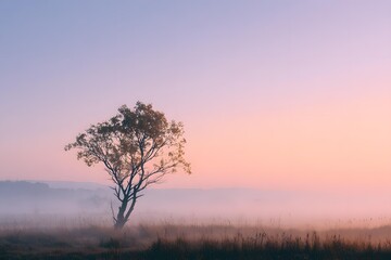 Minimalist landscape: single tree in foggy meadow, pastel colour dawn, calming visual,