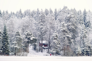 Croft in the wintry forest by a lake covered with snow © Lars Johansson